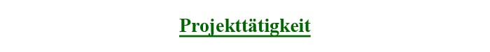 Projekttätigkeit