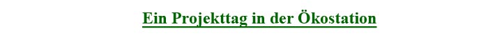 ein Projekttag in der Ökostation