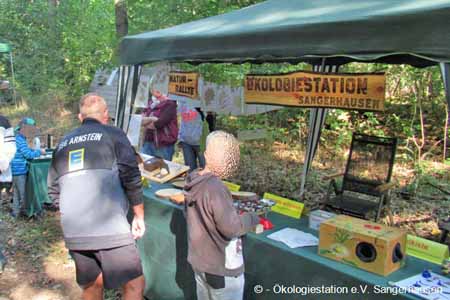 Volksfeststaende